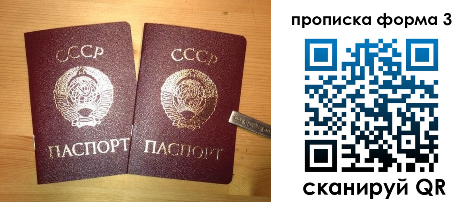 прописка иностранных граждан в Киселёвске